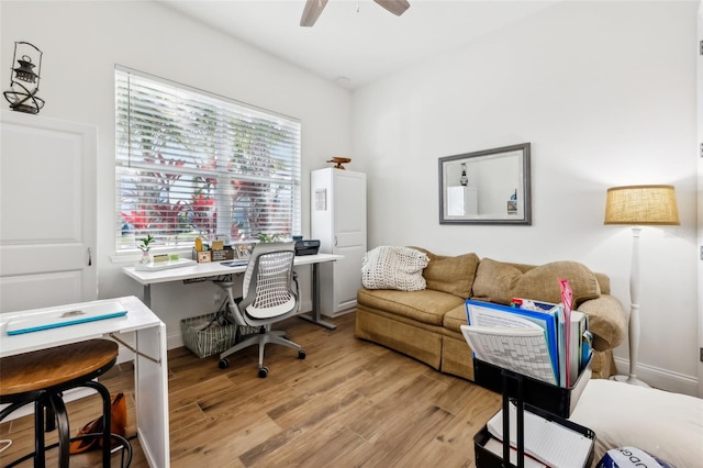 office space with ceiling fan and light hardwood / wood-style floors