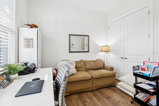 living room featuring wood-type flooring