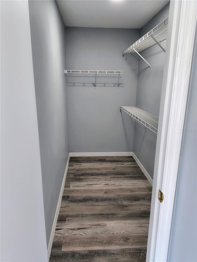 spacious closet with dark hardwood / wood-style flooring