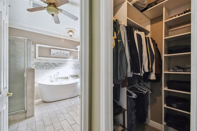 walk in closet with ceiling fan and light hardwood / wood-style flooring