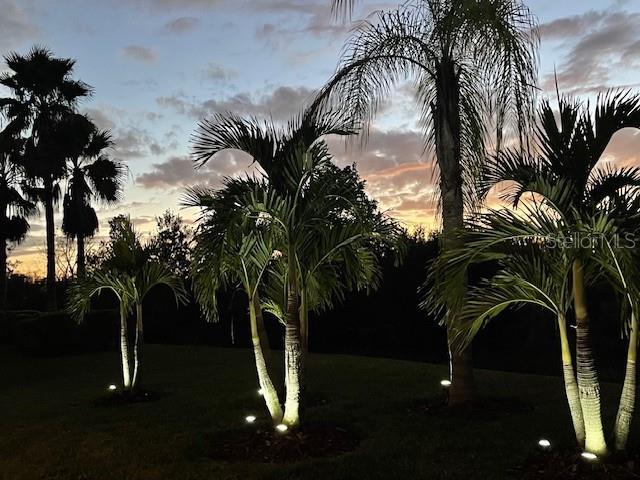 view of yard at dusk