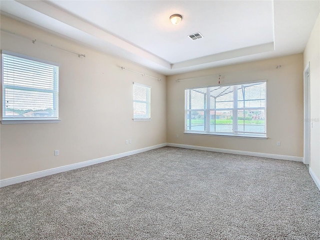 carpeted empty room with a raised ceiling and a healthy amount of sunlight