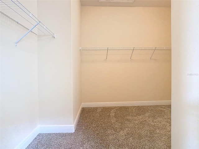 walk in closet featuring carpet floors