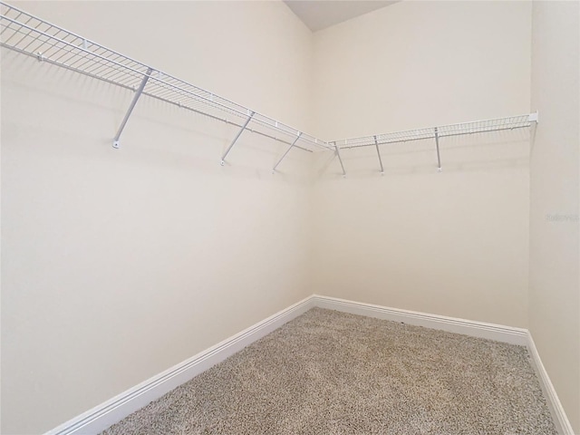 spacious closet with carpet flooring