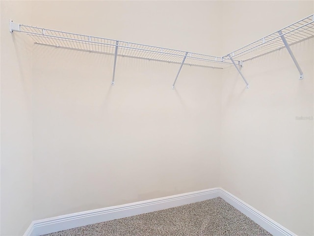 spacious closet featuring carpet flooring