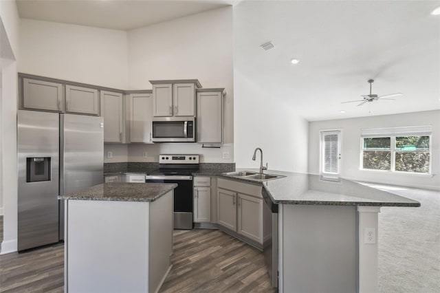 kitchen with sink, gray cabinets, stainless steel appliances, dark hardwood / wood-style floors, and kitchen peninsula