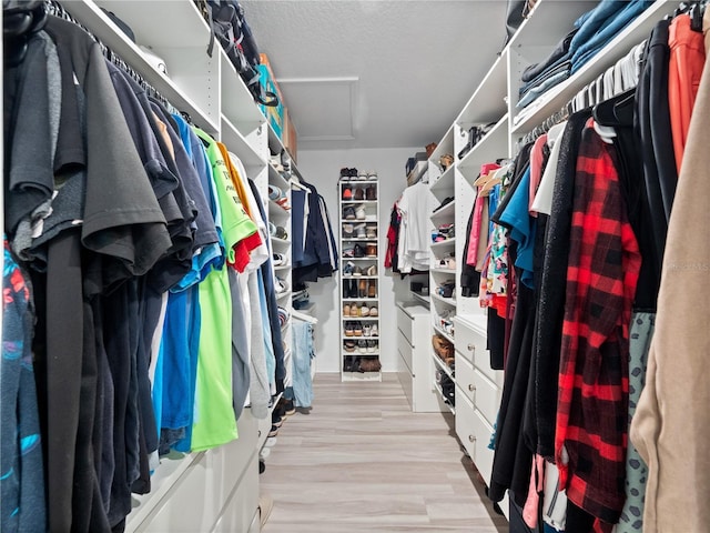 spacious closet with light hardwood / wood-style flooring