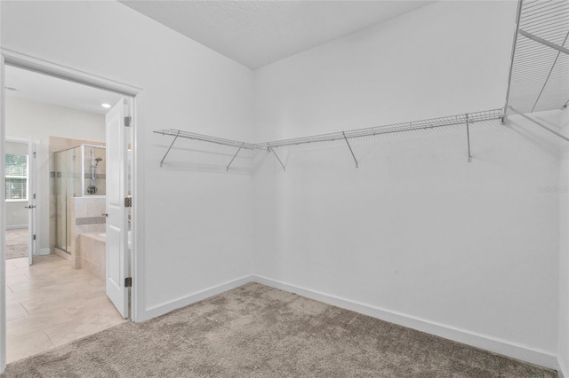 spacious closet featuring light carpet