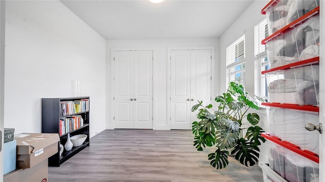 interior space featuring wood-type flooring