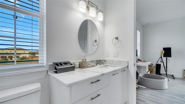 bathroom with wood-type flooring, toilet, and vanity