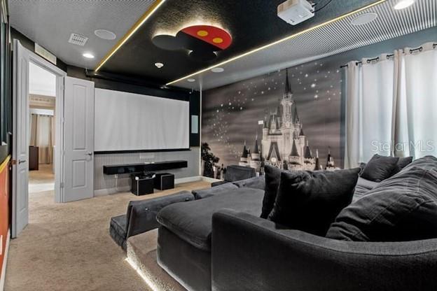 view of carpeted home theater