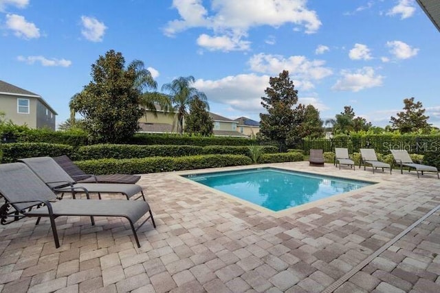 view of swimming pool with a patio