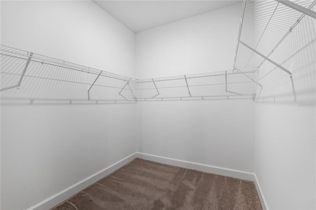 9049 Players Dr, Weeki Wachee, FL 34613 - photo 15