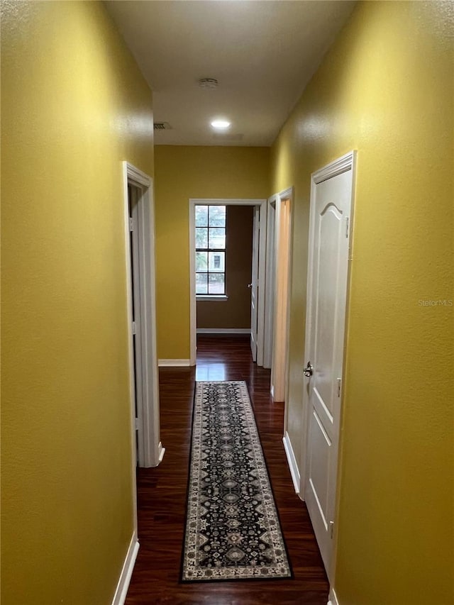 corridor featuring dark wood-type flooring