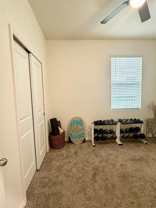 exercise area with ceiling fan and carpet flooring