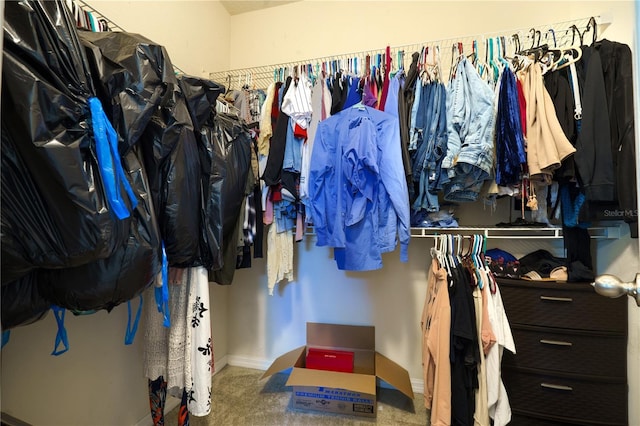 spacious closet featuring carpet floors