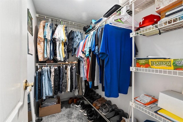 spacious closet with carpet