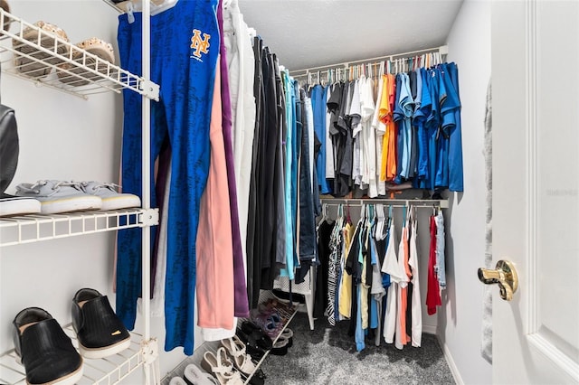 spacious closet with carpet