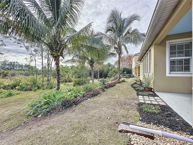 view of yard featuring a patio area