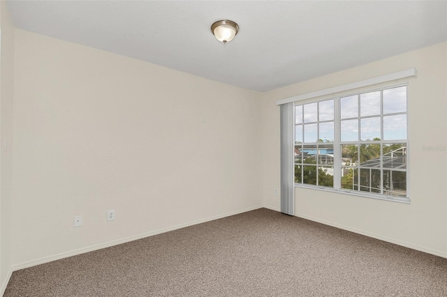 empty room featuring carpet flooring