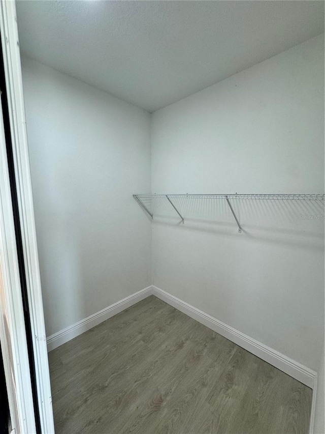 walk in closet featuring hardwood / wood-style flooring