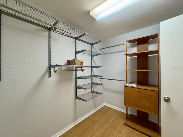 spacious closet featuring light hardwood / wood-style flooring