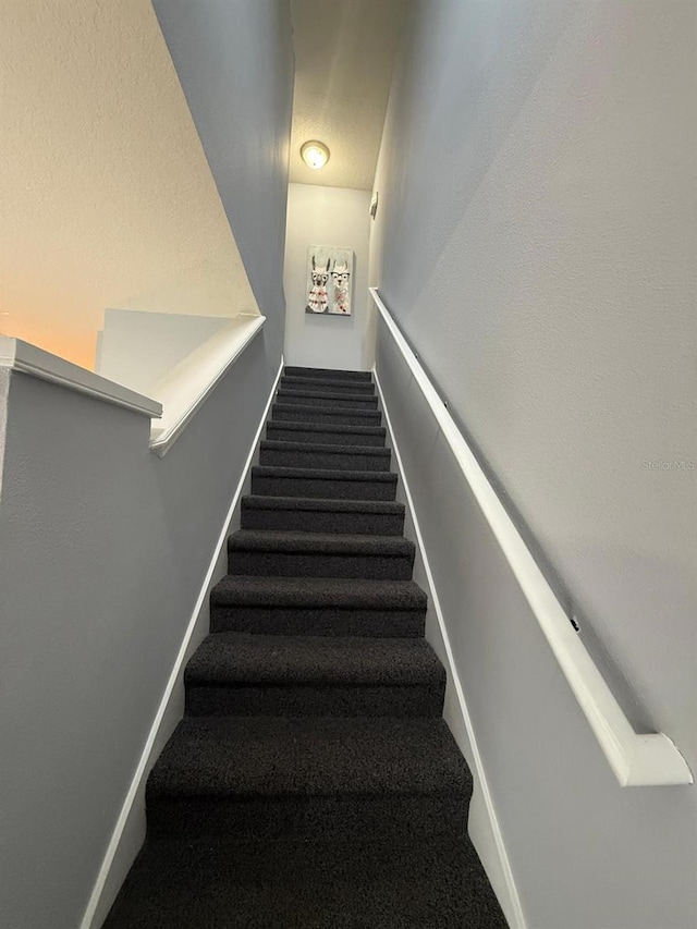 stairs with carpet floors