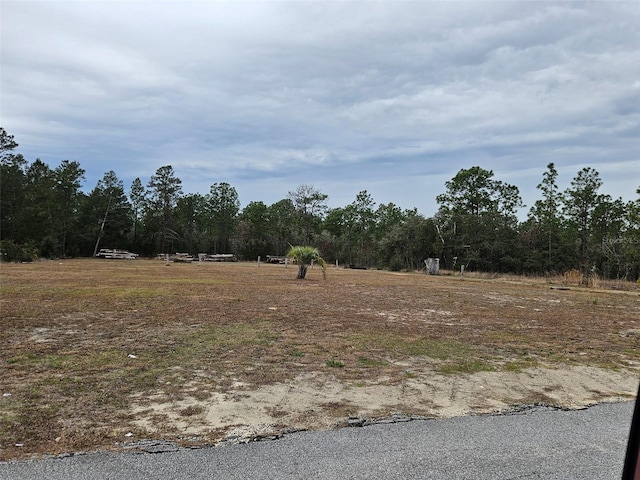 LOT2 SW Little Cliffs Dr, Dunnellon FL, 34431 land for sale