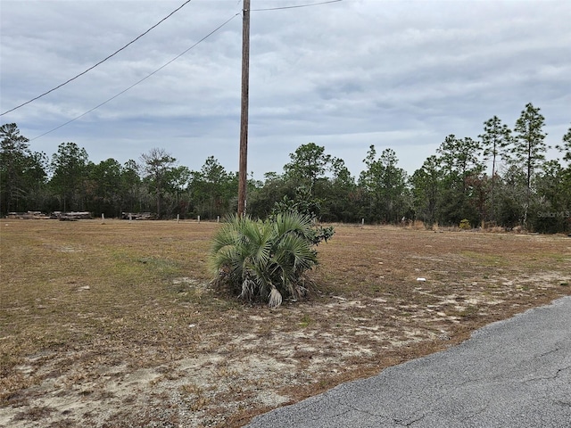 Listing photo 2 for LOT2 SW Little Cliffs Dr, Dunnellon FL 34431