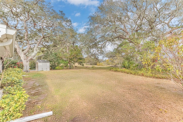 view of yard featuring a storage shed