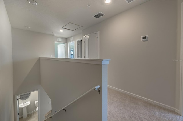 staircase featuring carpet flooring and a textured ceiling