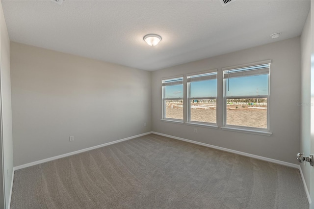 spare room featuring carpet flooring and a textured ceiling