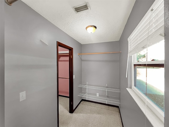 walk in closet with light colored carpet