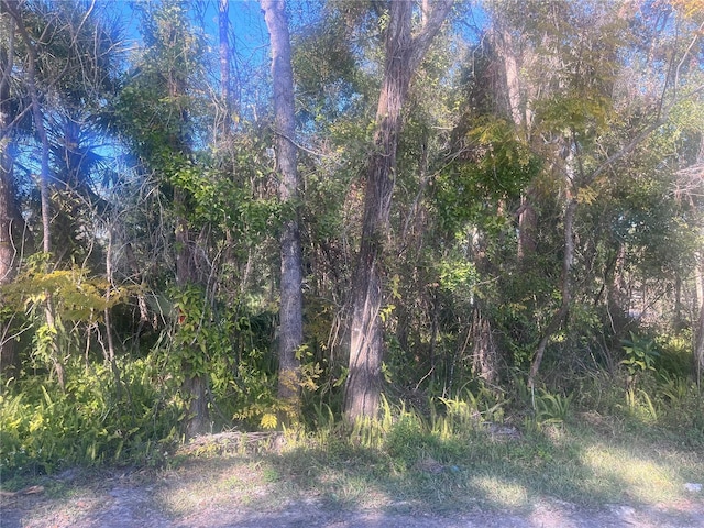 14th St, Orange City FL, 32763 land for sale