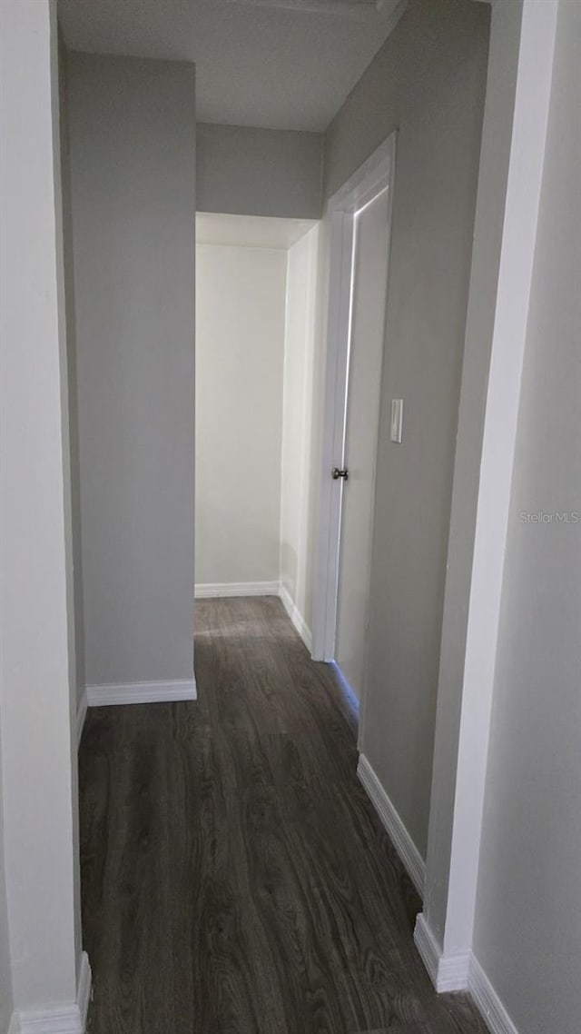 hallway featuring dark hardwood / wood-style flooring