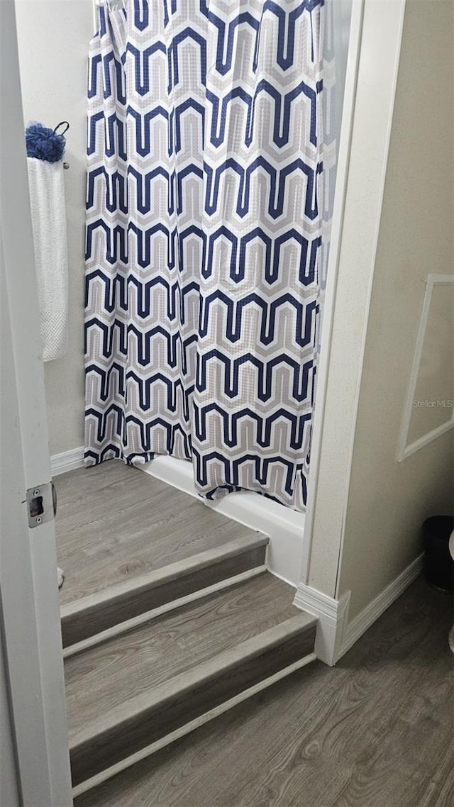 bathroom with wood-type flooring