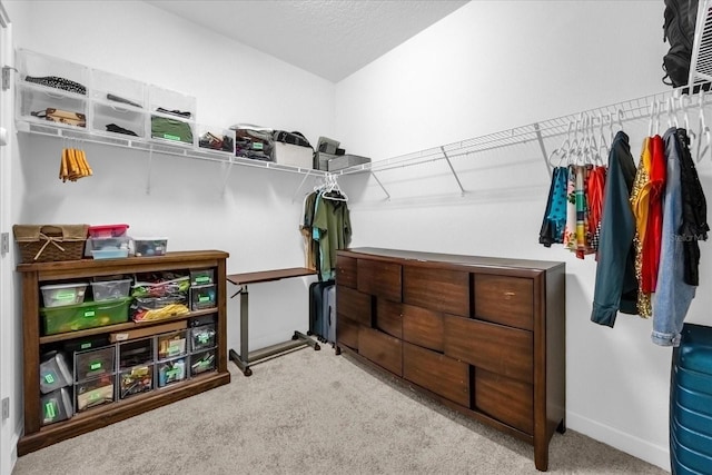 walk in closet featuring carpet