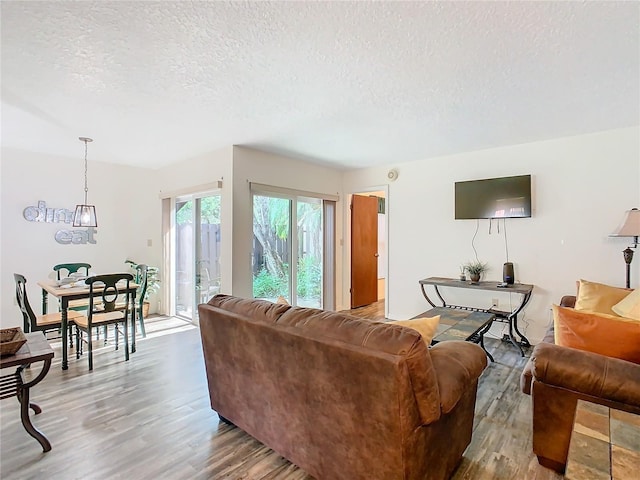 living room featuring a textured ceiling and hardwood / wood-style flooring