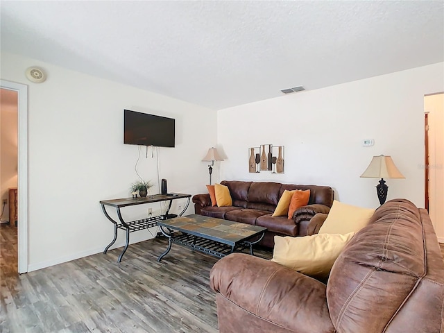 living room featuring wood-type flooring