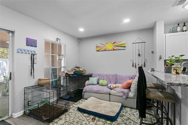 living room featuring hardwood / wood-style floors and a textured ceiling