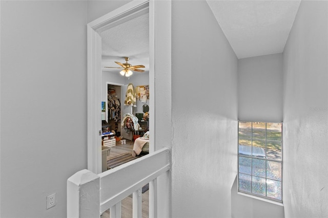 interior details with a textured ceiling and ceiling fan