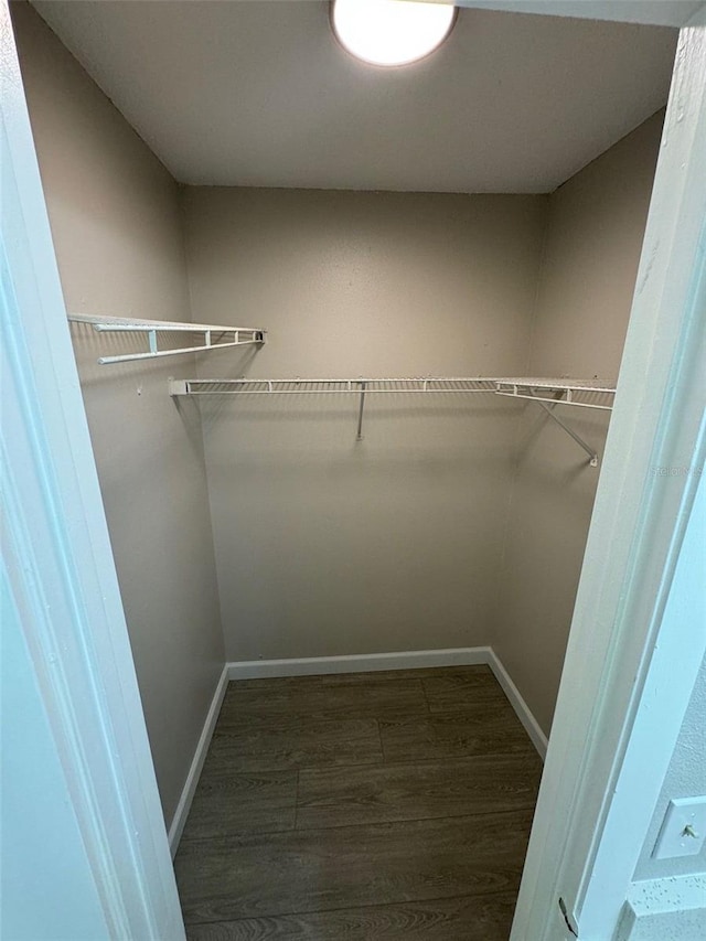 walk in closet featuring dark hardwood / wood-style floors