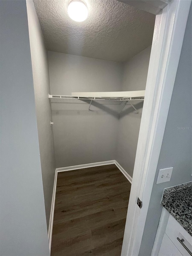 spacious closet featuring dark hardwood / wood-style floors