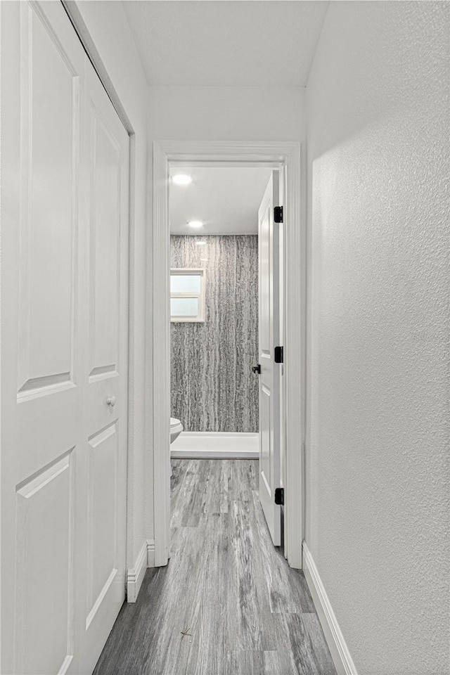 corridor featuring light hardwood / wood-style flooring