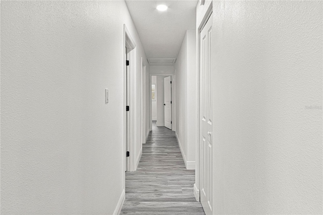 corridor with light hardwood / wood-style flooring