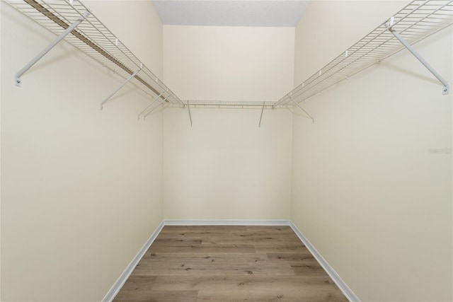 walk in closet with hardwood / wood-style floors