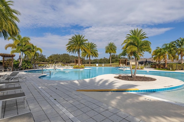 view of pool with a patio