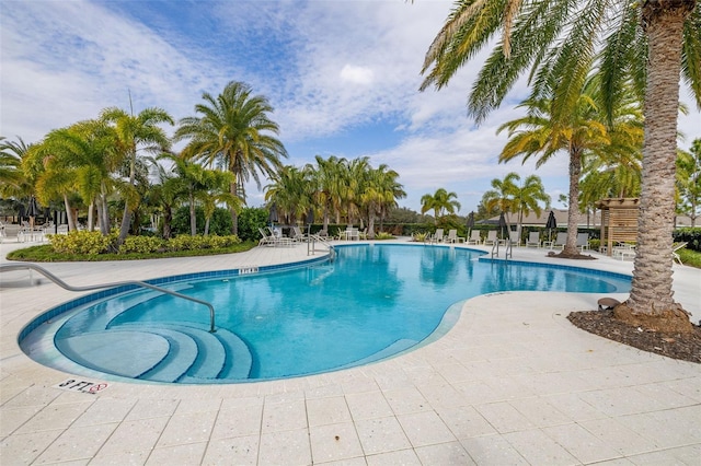 view of pool featuring a patio area