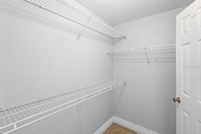 walk in closet featuring carpet floors