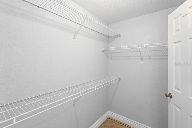 3701 Castle Pines Ln Unit 3927, Orlando, FL 32839 - photo 19